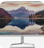 HP M22f FHD Monitor,